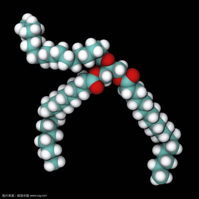 甘油三酯结构图
