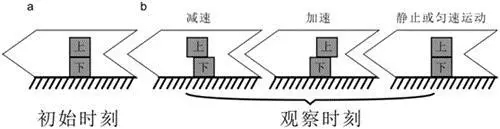 前庭器官的"星际迷航—生物系统如何计算惯性运动