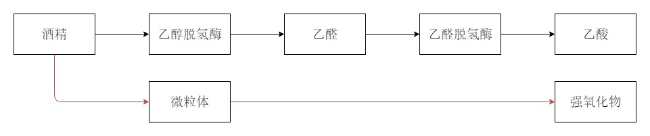 过年喝酒前，你要了解的六大真相