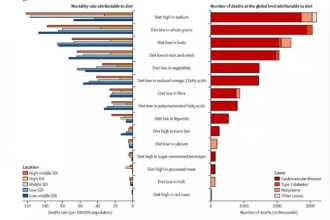 通过上图数据可以看到：因为饮食结构问题导致死亡的，前三位分别是高盐、低全谷类和低水果饮食。