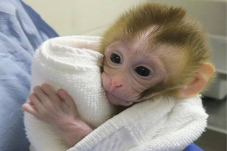 Grady at 2 weeks old