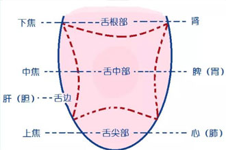 图虫创意-461626718636736960.jpg