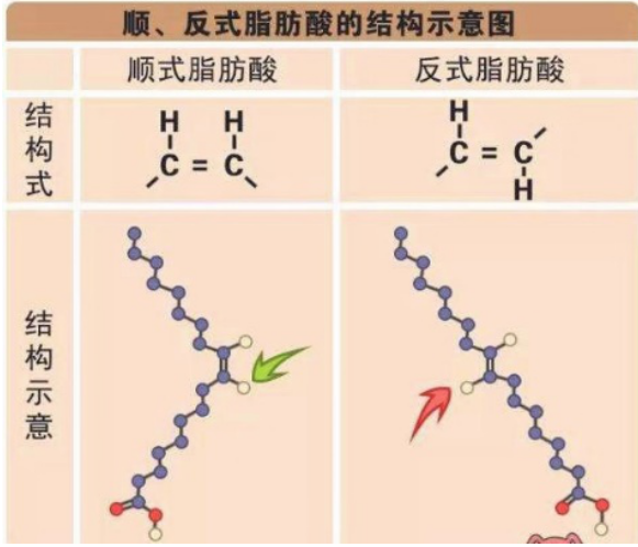 顺式反式脂肪酸示意图