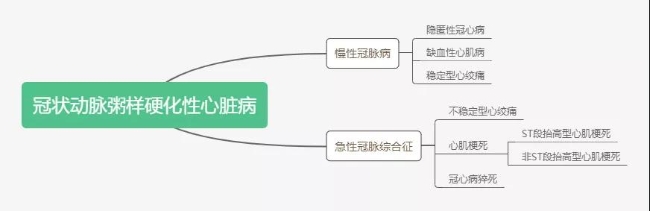 冠状动脉粥样硬化性心脏病的分类，图片来源：作者自制