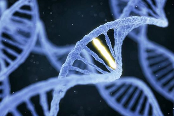 如何强化人体自身免疫力？只需打开DNA