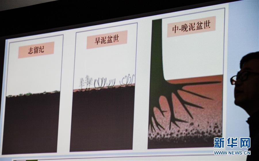 （科技）（1）古生物学家揭秘最古老树木如何生长