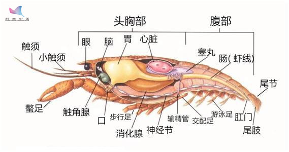 QQ图片20180625132940