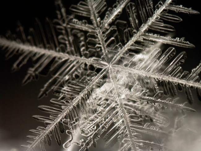 纽约的一个小镇认为下雪是违法的