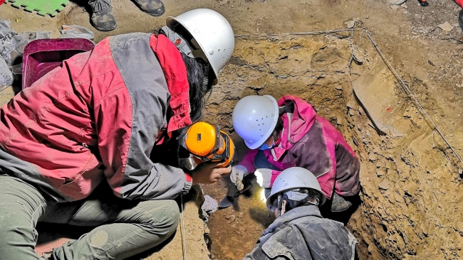 “夏河人”现身：远古智人16万年前已登上青藏高原