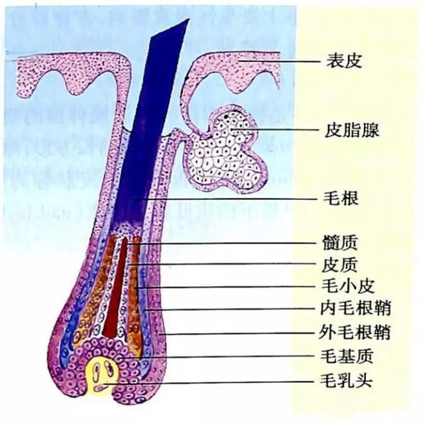 正月里剪头，能咋地？