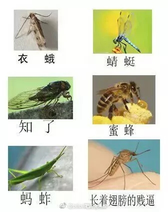 江湖上流传的驱蚊大法，其实并没有什么用