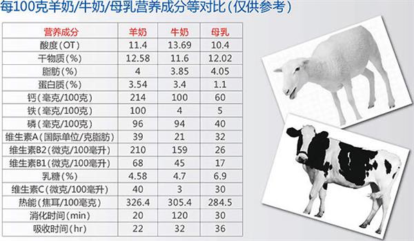 千万别给小猫喂牛奶 羊奶也不行