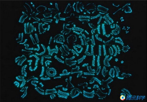 科学和艺术的完美结合